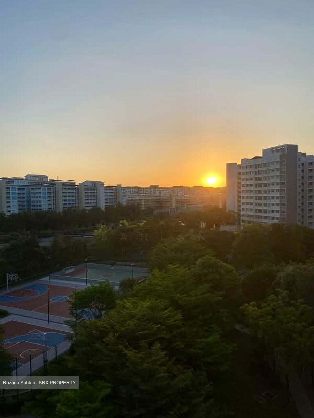 Blk 495F Tampines Street 43 (Tampines), HDB Executive #556971081